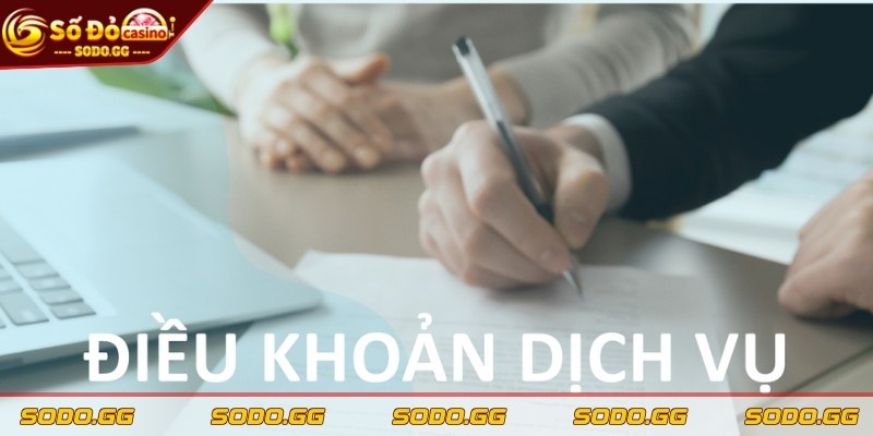 Điều Khoản Dịch Vụ Sodo - Quy Định Cần Thiết Anh Em Nên Biết Quy định về trách nhiệm của người chơi